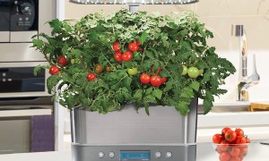 Image of AeroGarden Harvest Elite