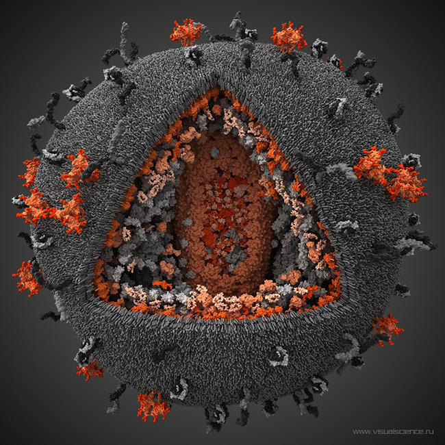 hiv stock