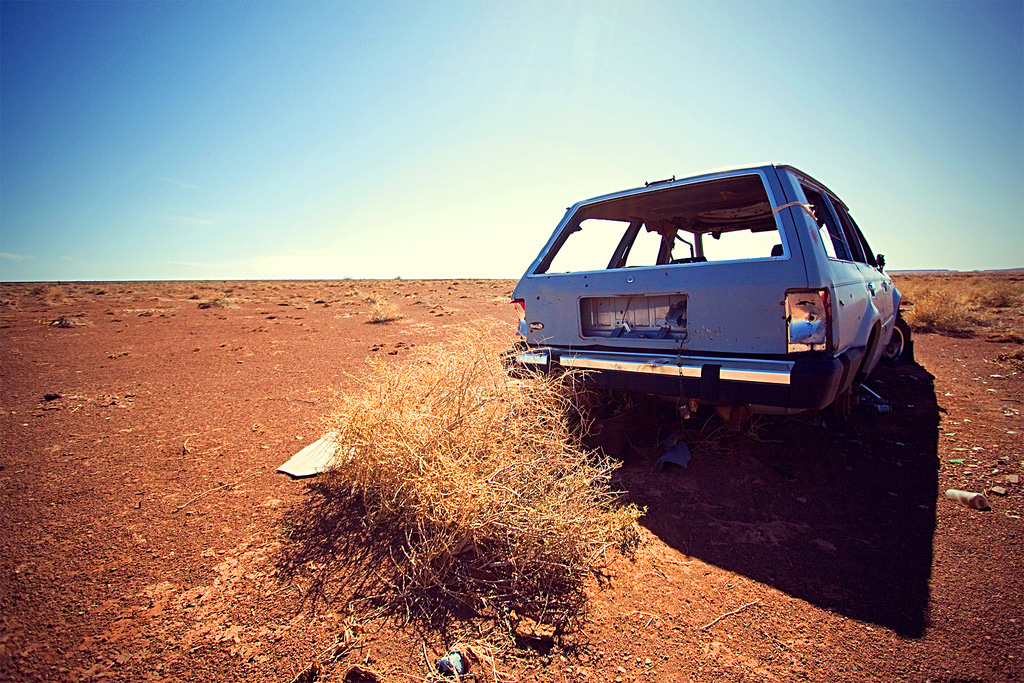 abandoned car brian oh