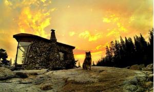 snowboarder mike basichs tiny home is right on the slopes basich s
