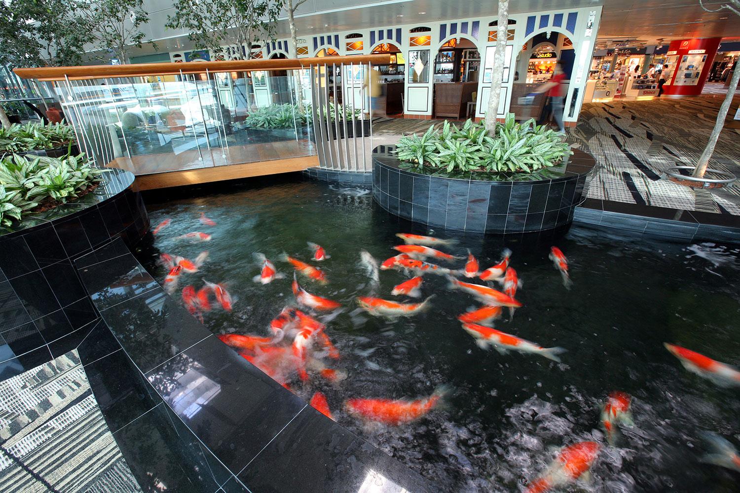 best airports for layovers changi airport 7