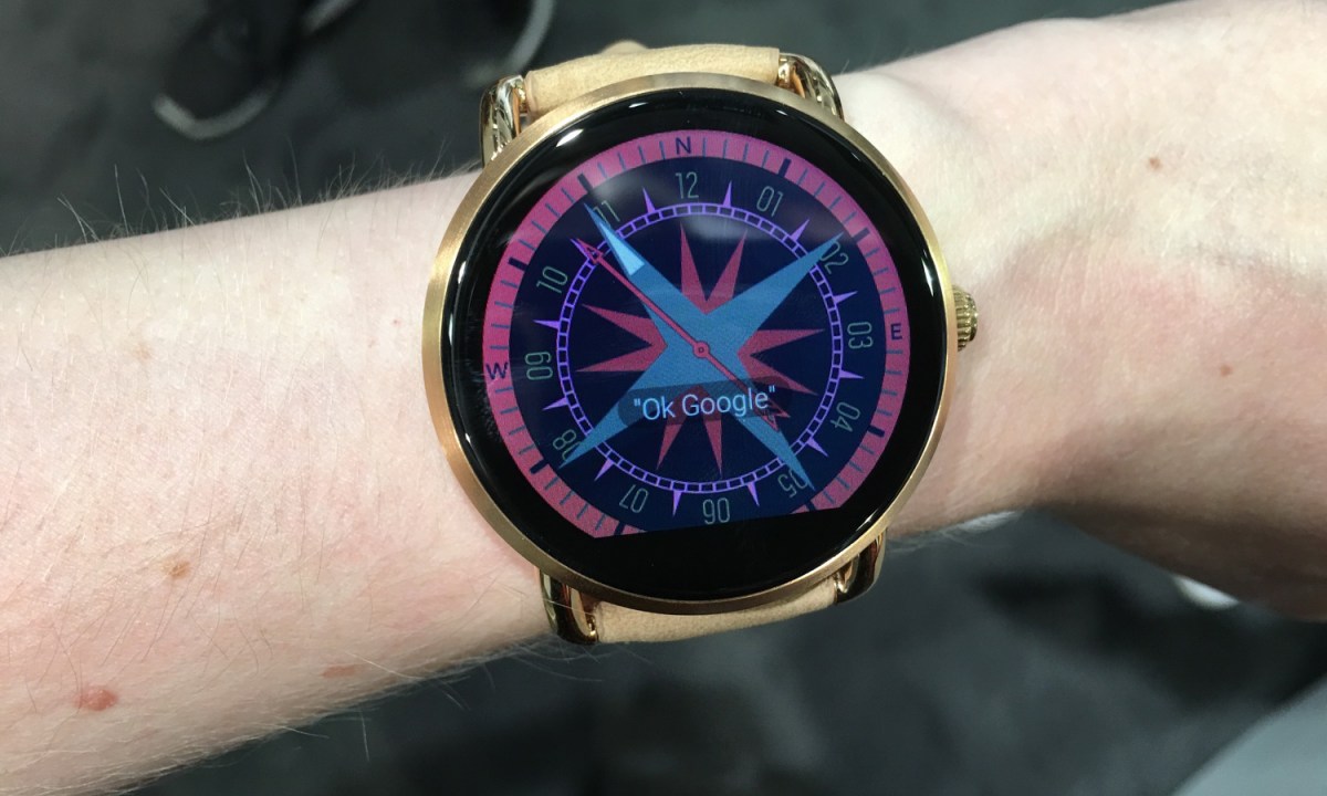 Fossil Q Wander