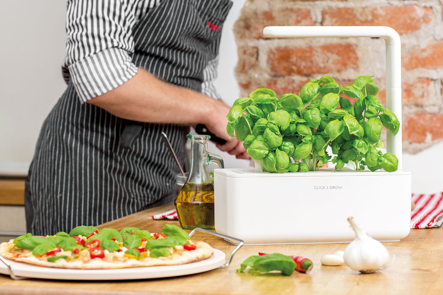 Click & Grow indoor garden