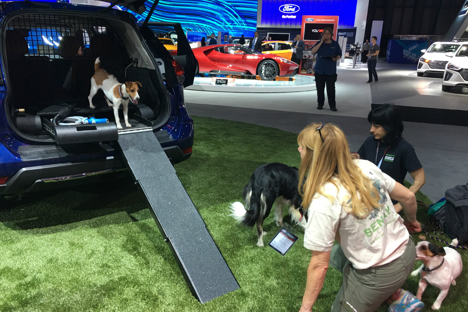 Nissan Rogue Dogue