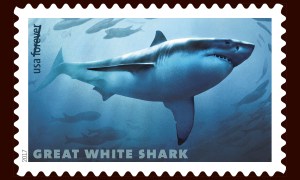stamp image