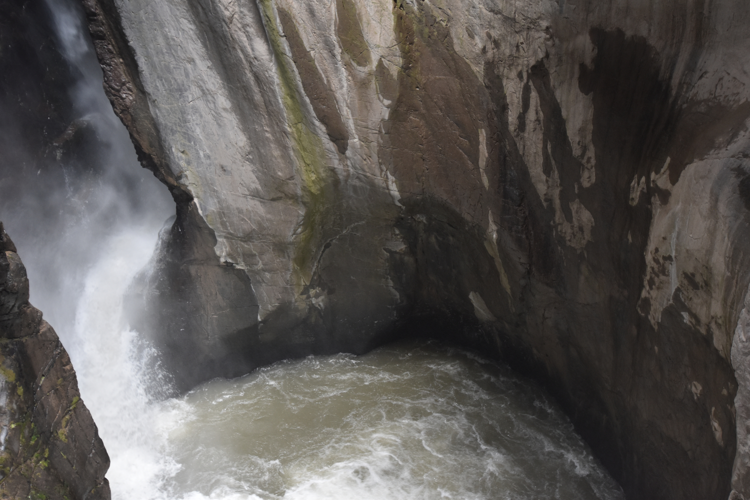 nikon d5600 review sample shots 14007