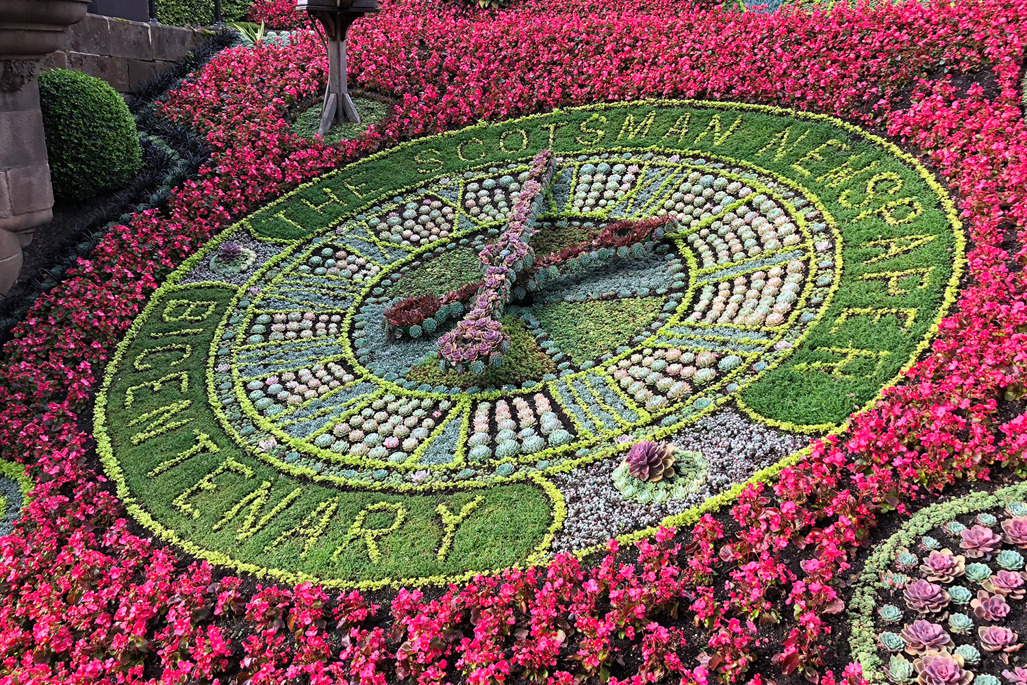 Apple iPhone 8 reviews camera sample flower clock