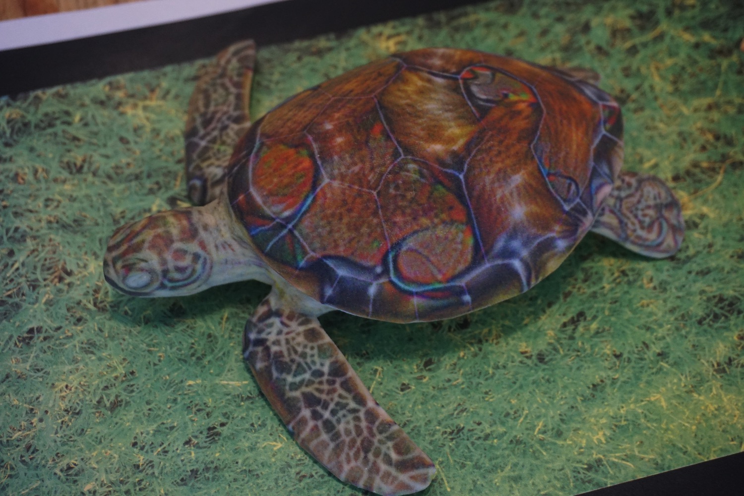 image recognition turtle rifle 1