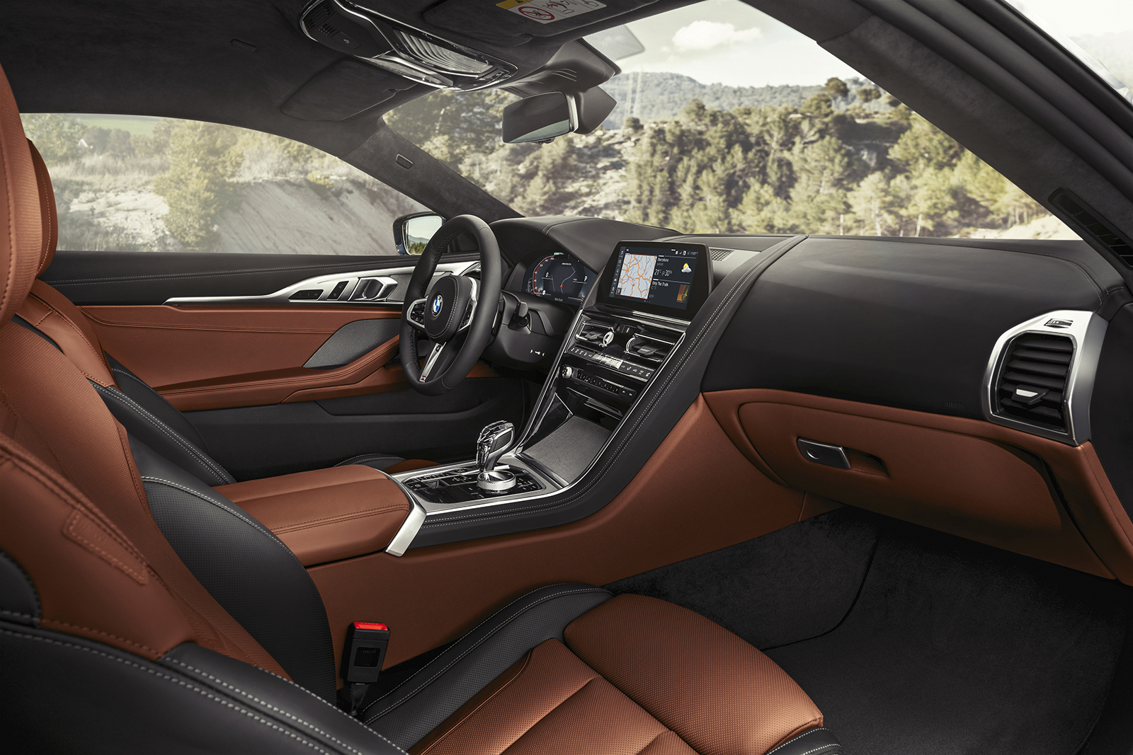 2019 bmw 8 series pictures specs  12