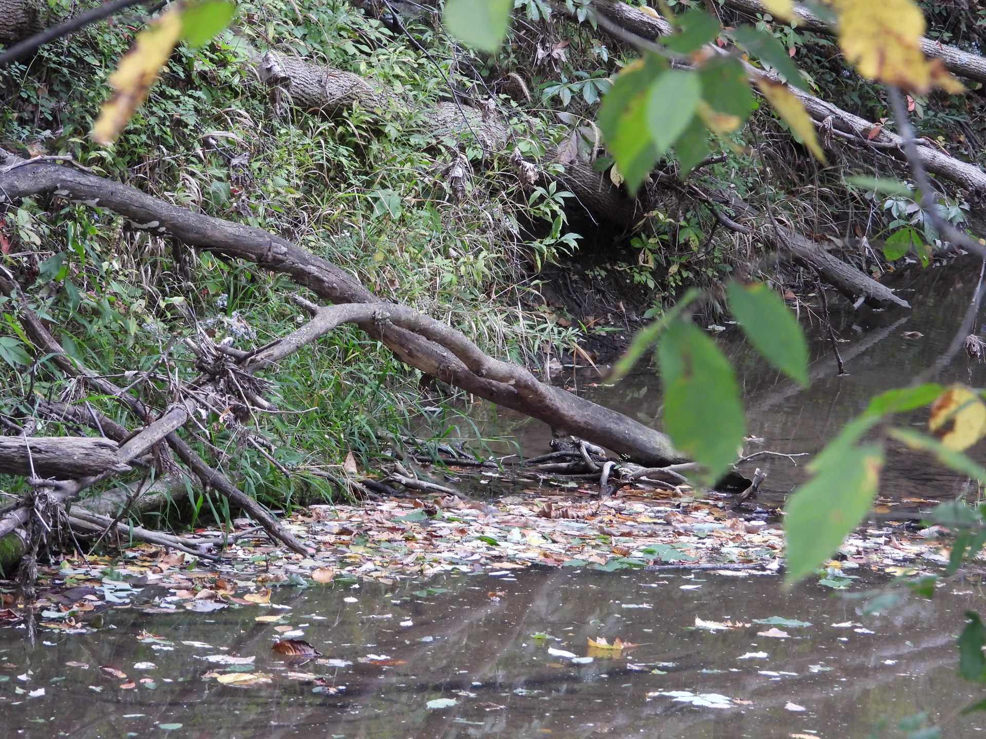 200mm sample shot