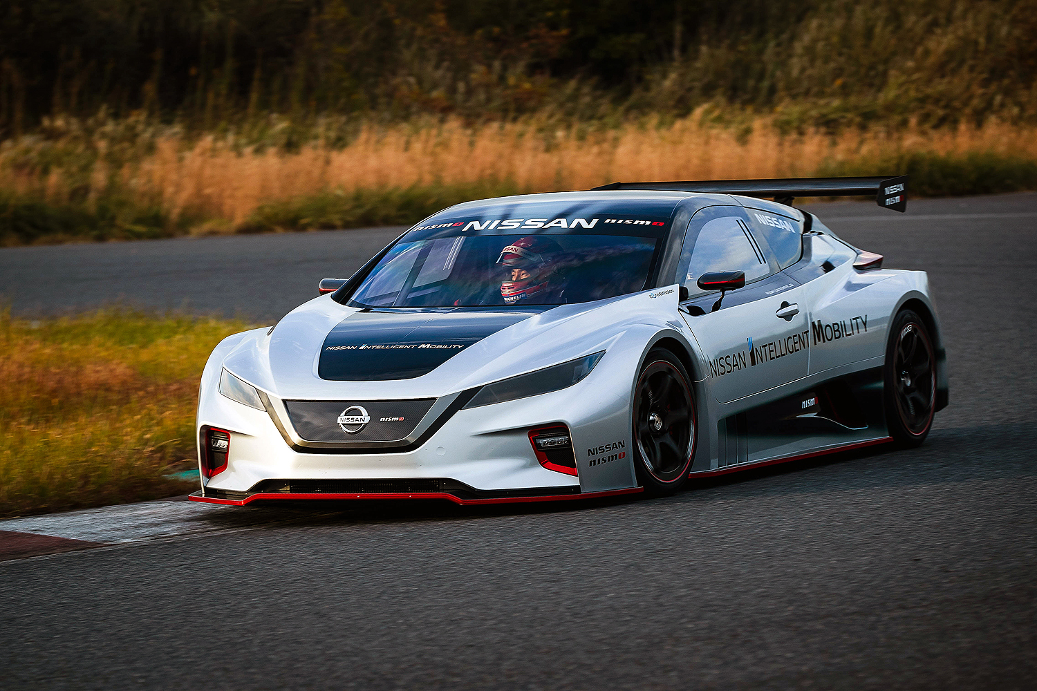 Nissan Leaf Nismo RC