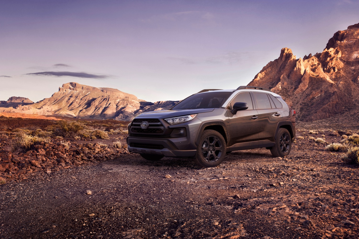 2020 Toyota RAV4 TRD Off-Road