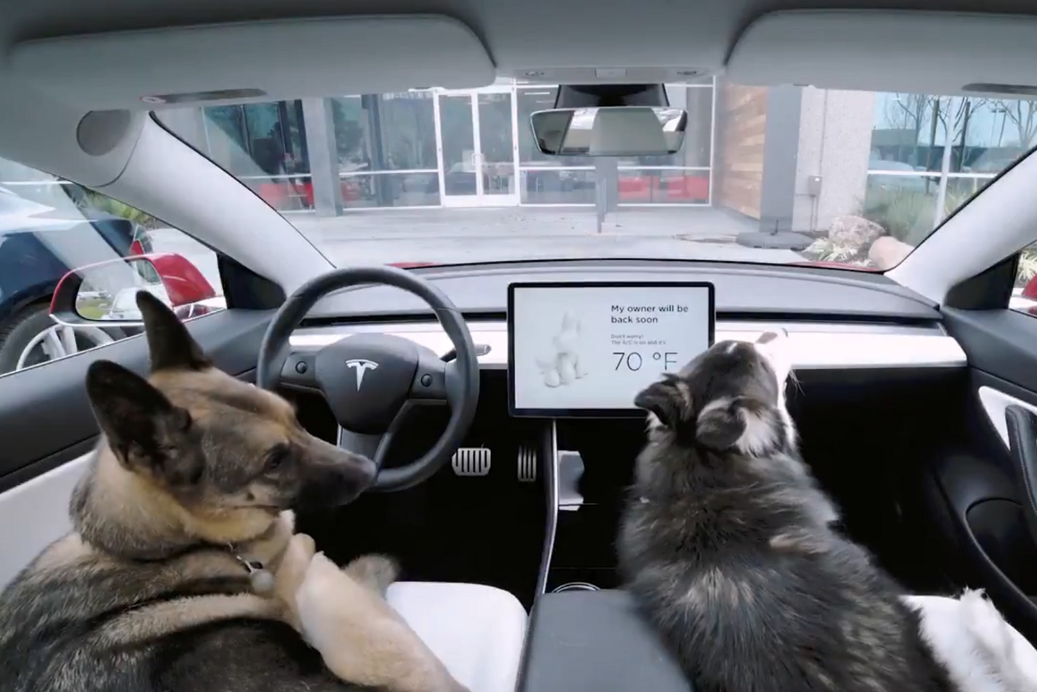 Tesla Dog Mode