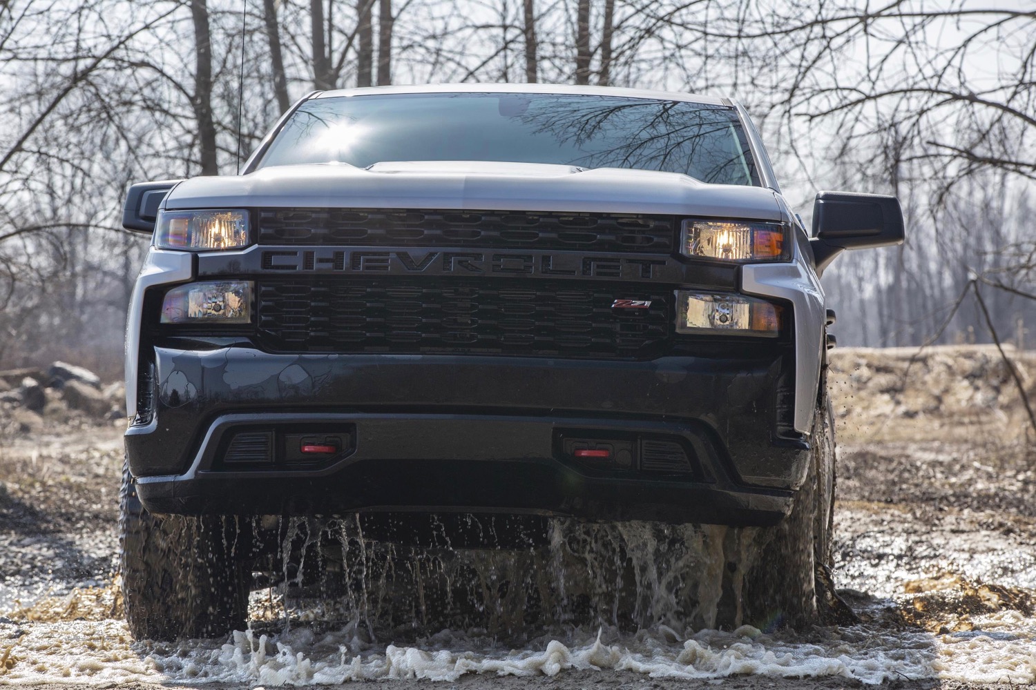 2020 Chevrolet Silverado 1500 Custom Trail Boss