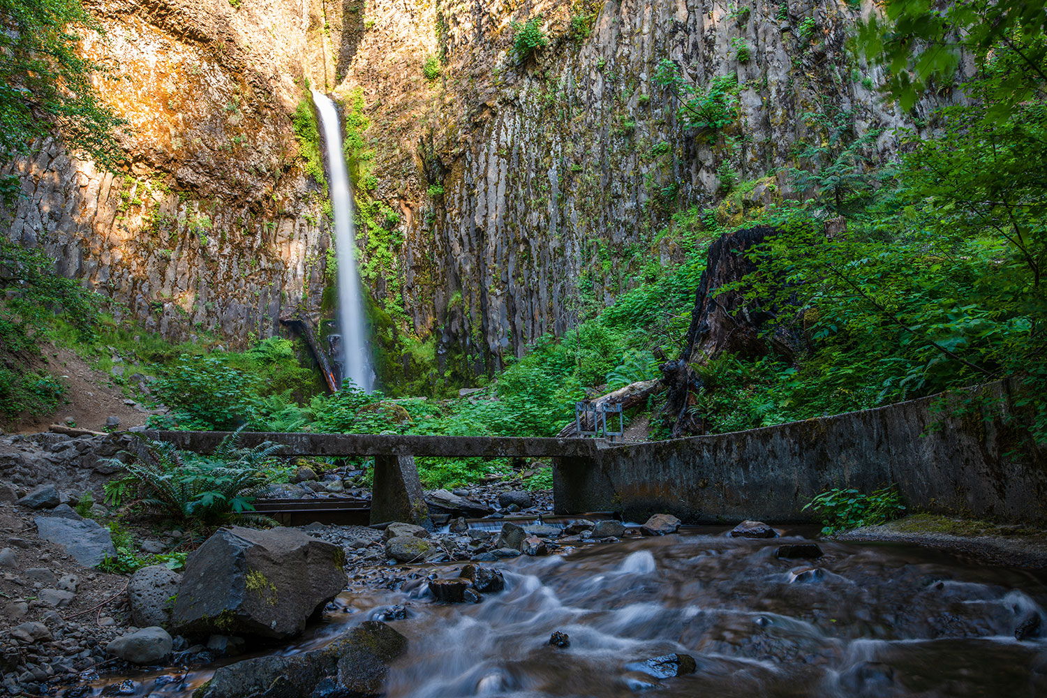 sigma 28mm f14 dg hsm art review sample 5