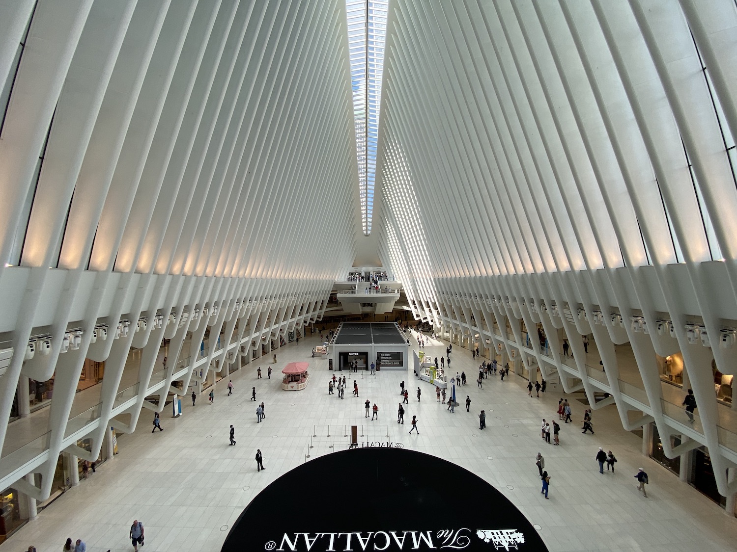 iphone 11 pro review wide angle oculus