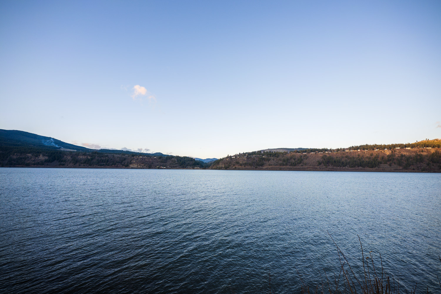 sigma fp review sample dm 29