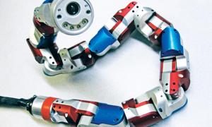 episode 320 snake robot