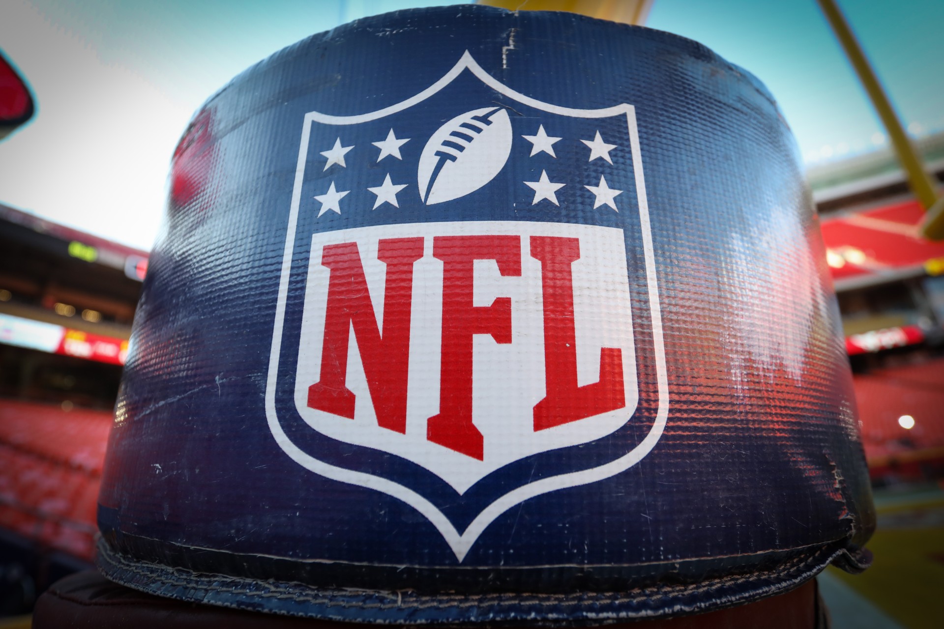 The NFL Logo