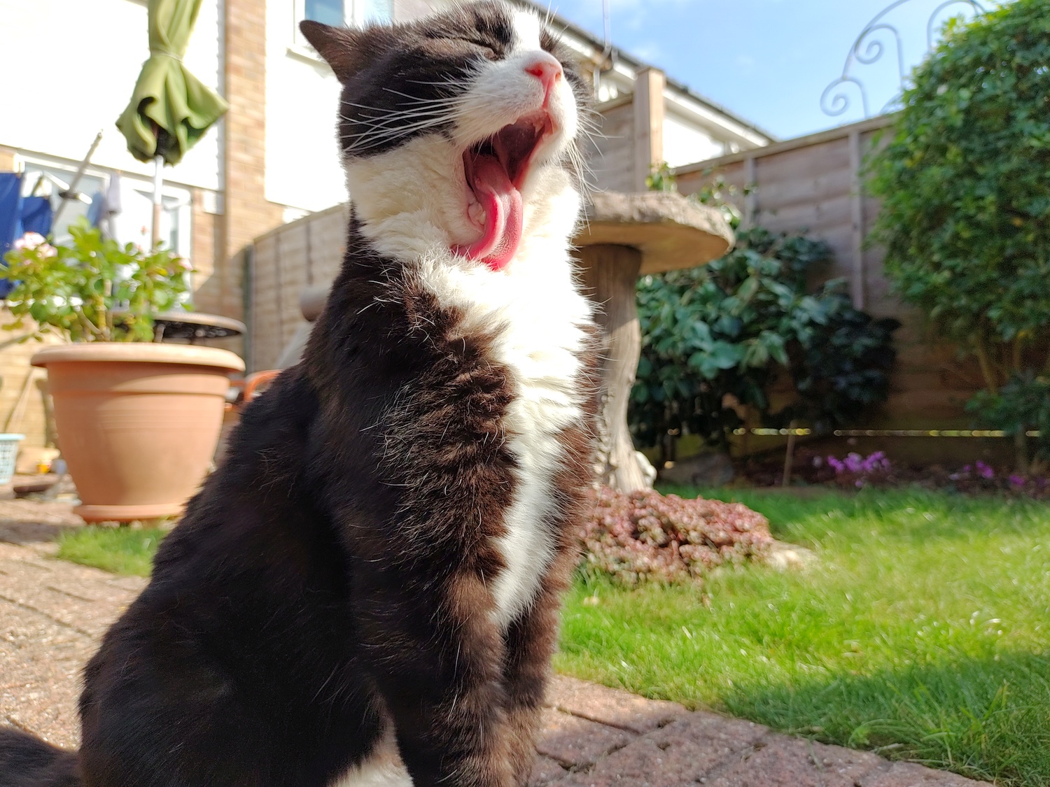 nokia 8 3 review 83 cat