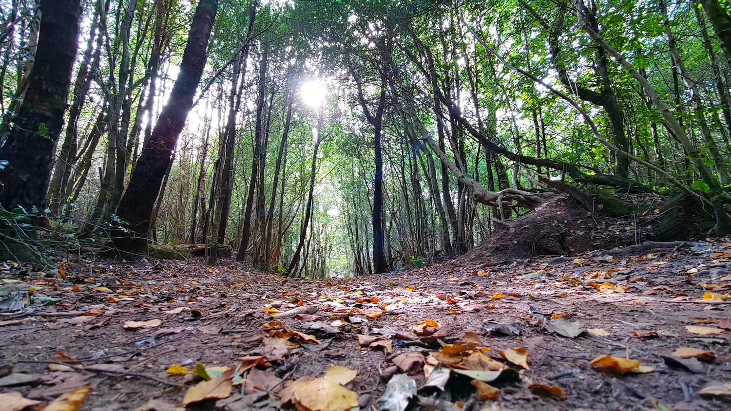 nokia 8 3 review 83 path wide