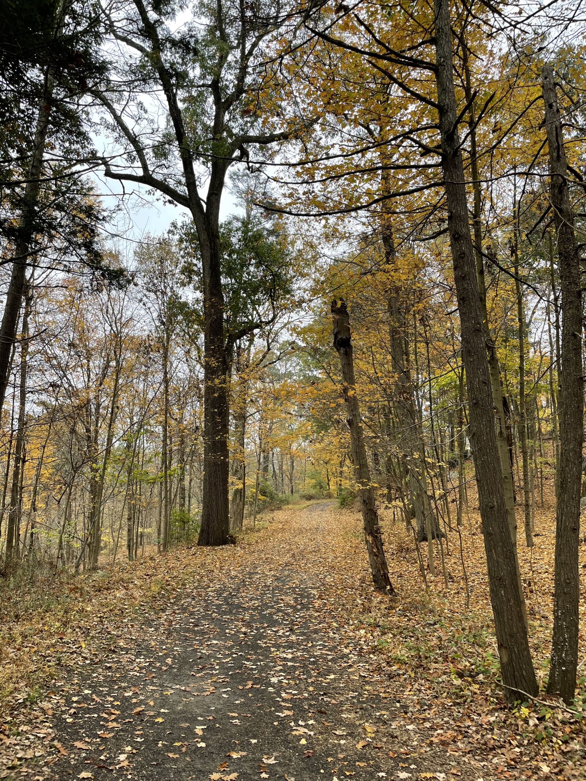 apple iphone 12 pro review camera sample 11