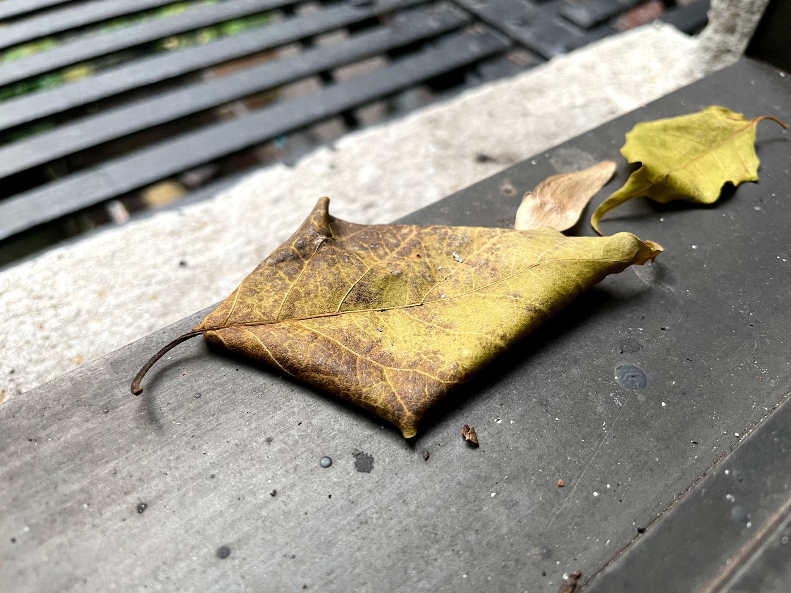apple iphone 12 pro review camera sample 27