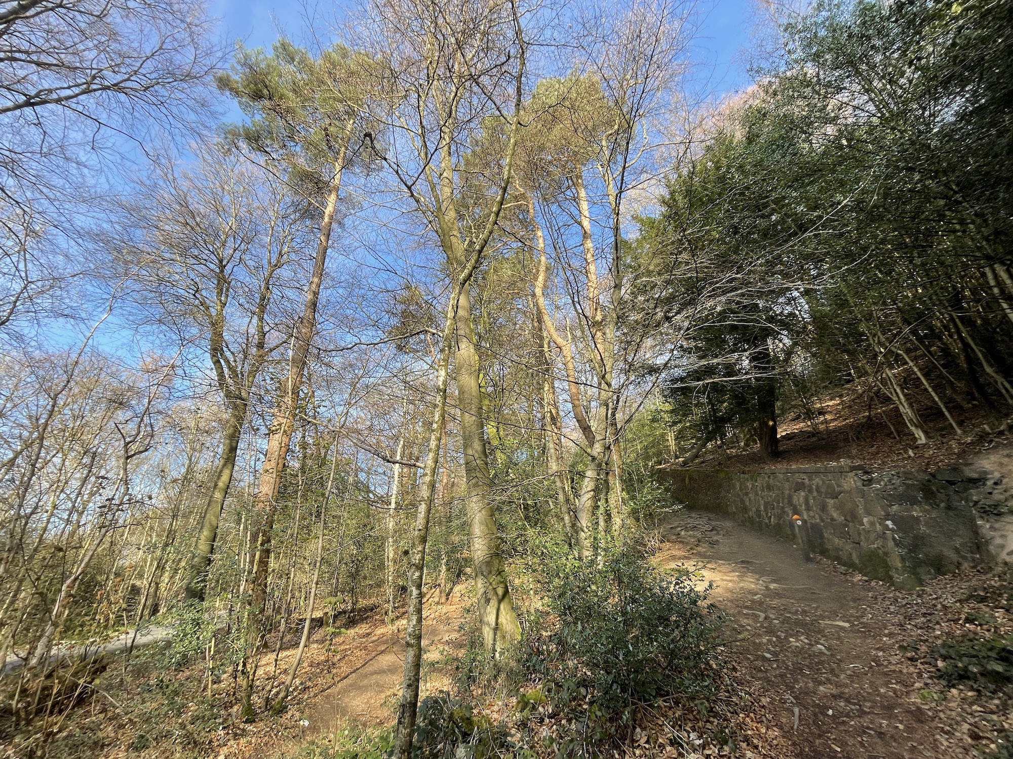 oneplus 9 pro vs apple iphone 12 wide path