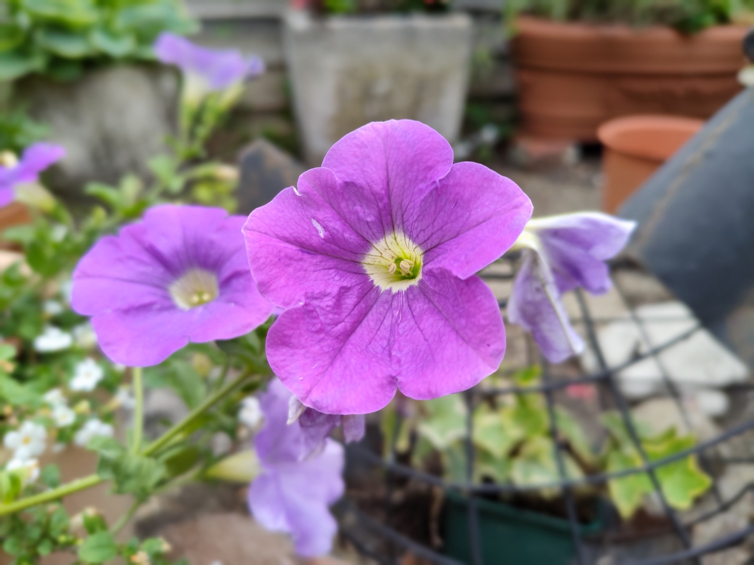 realme gt hands on features price photos release date flower