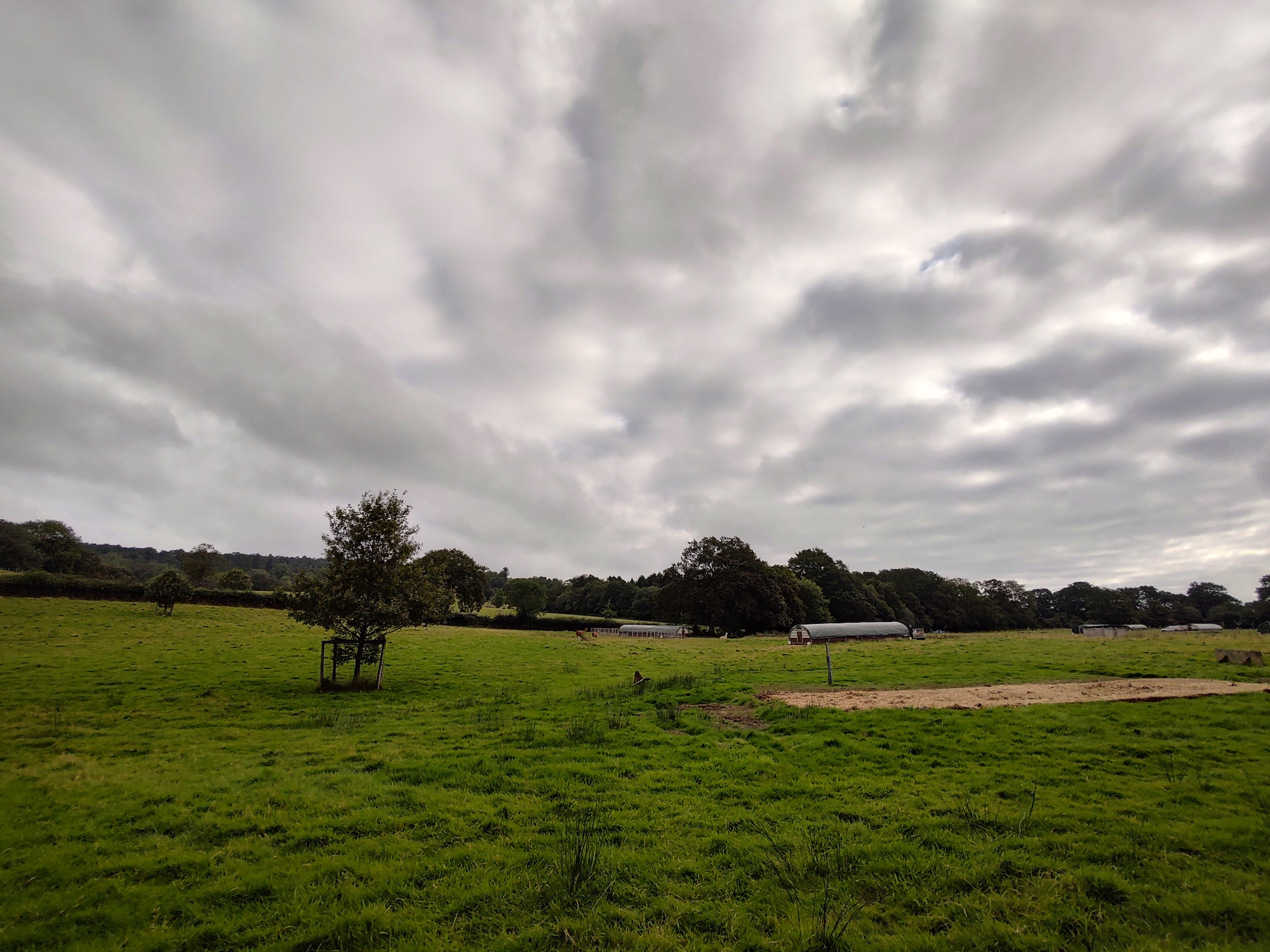 Wide-angle photo taken with the Moto Edge 20 Pro.