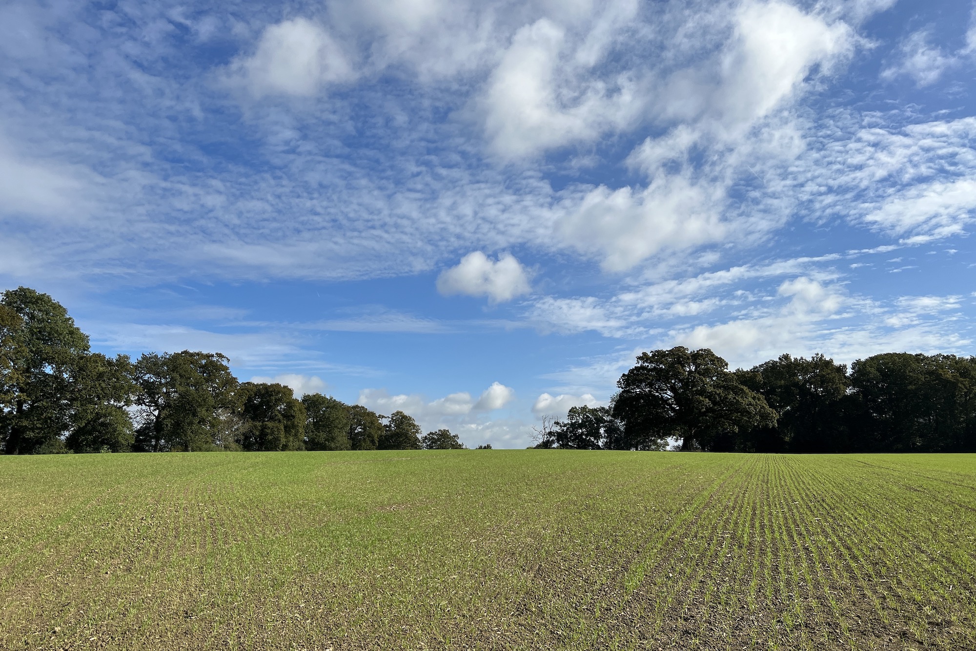 Standard photo taken with the iPhone 13 Pro.