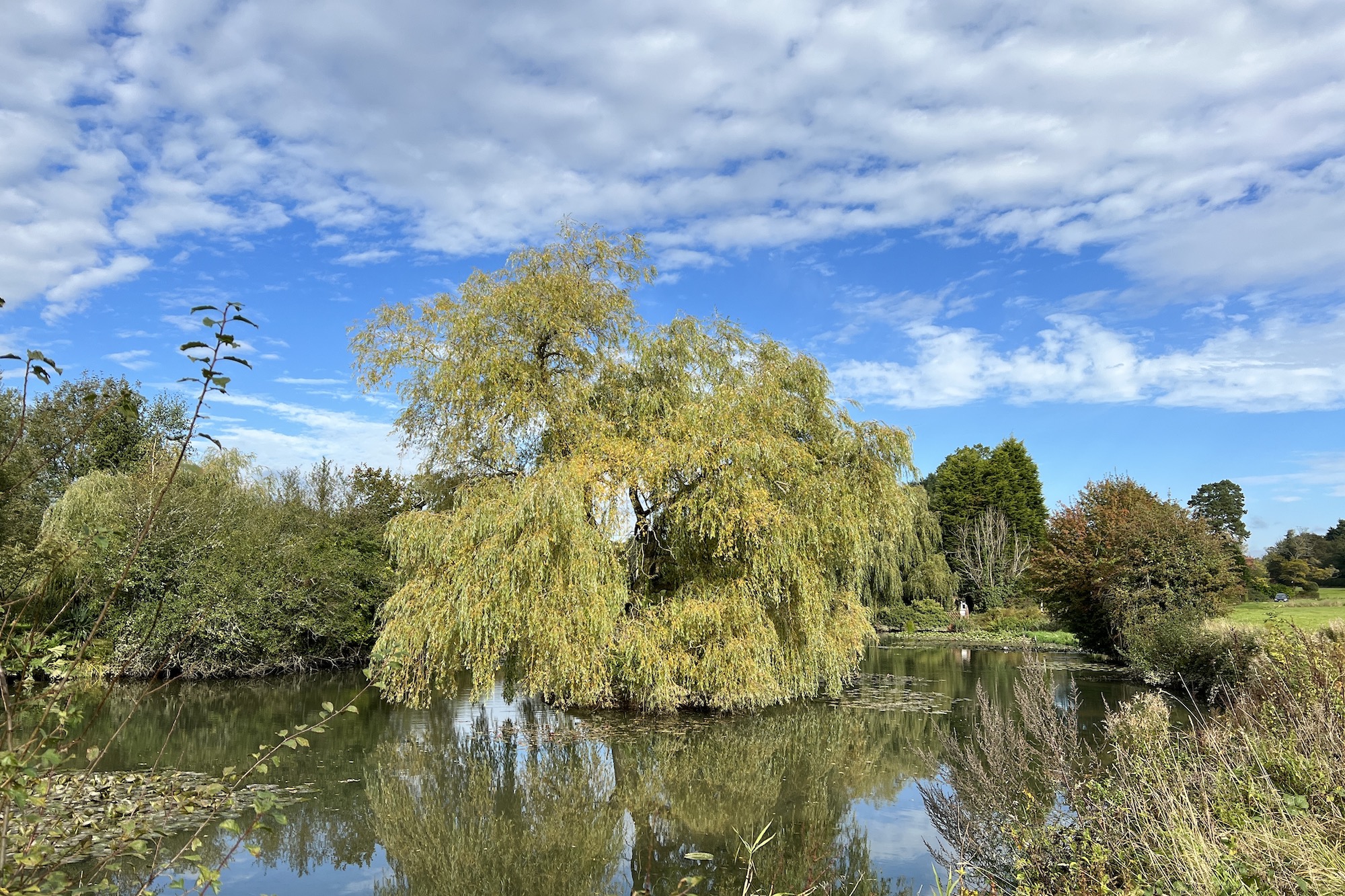 Standard photo taken with the iPhone 13 Pro.