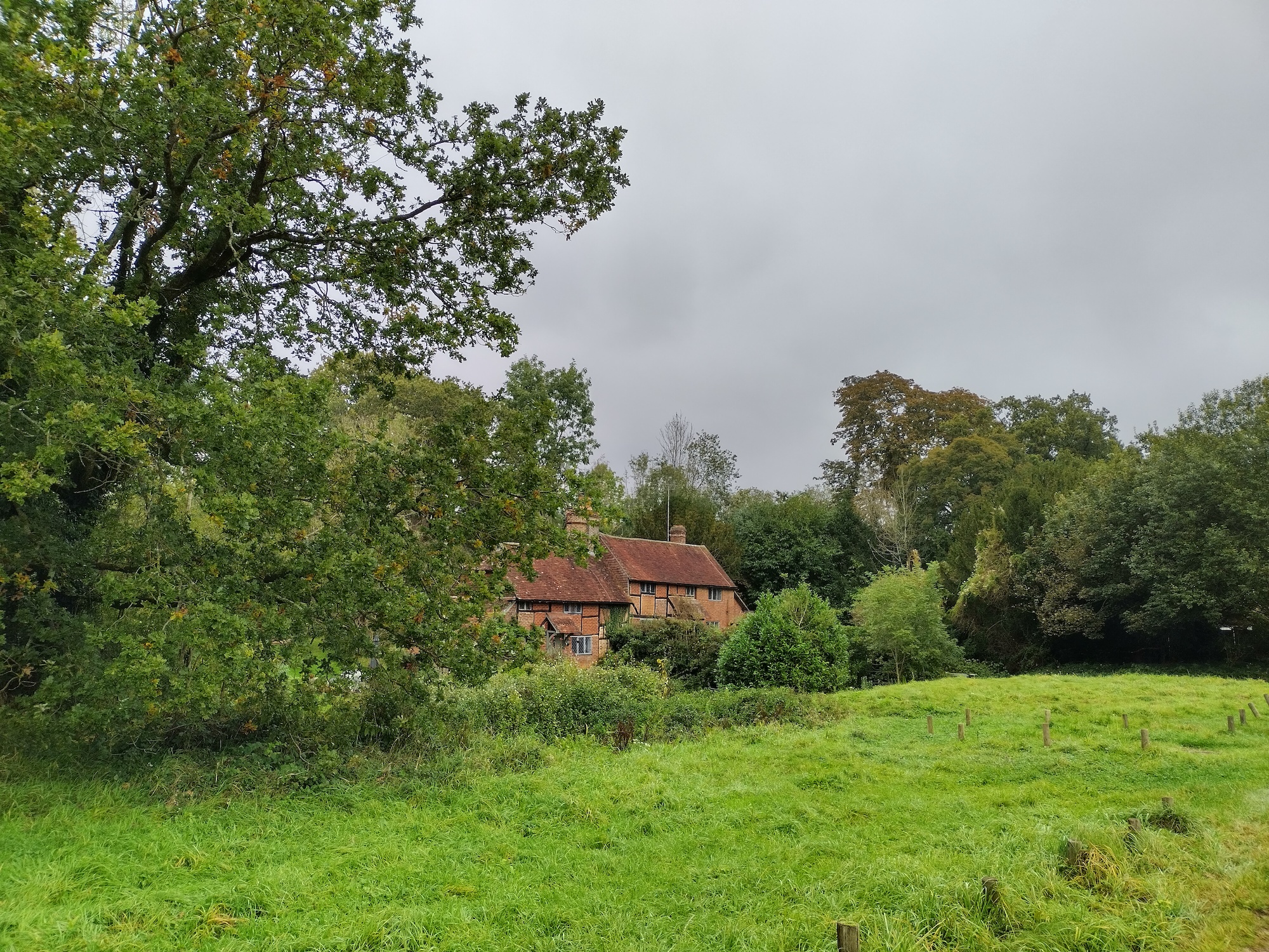 Photo of a house taken with the Nokia G50.