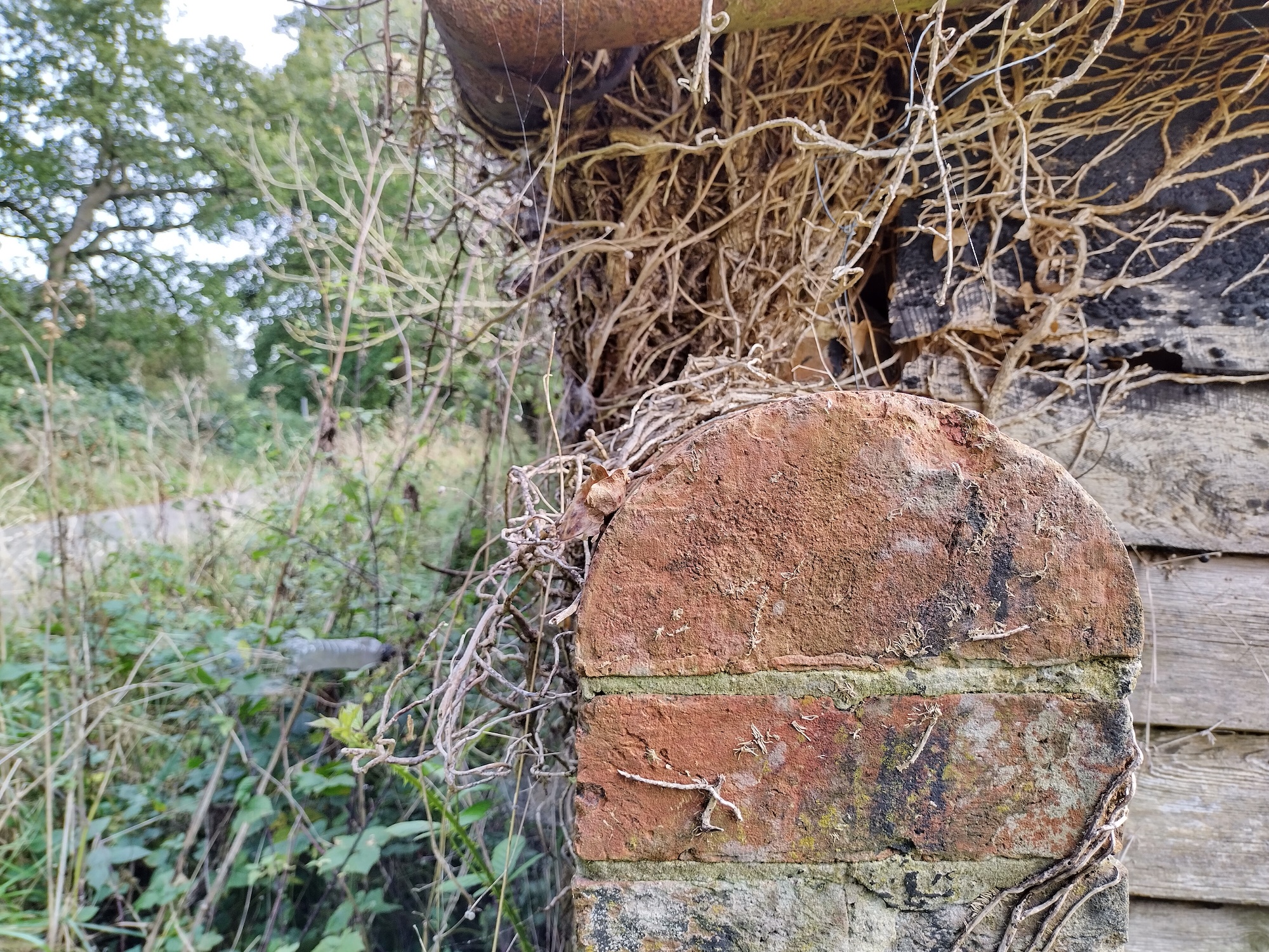Photo of a wall taken with the Nokia G50.