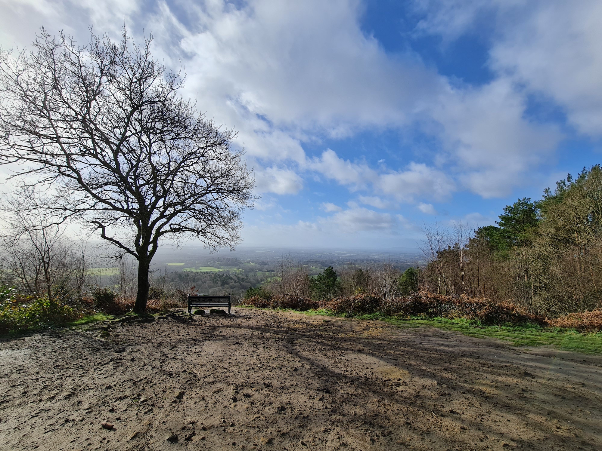 Note 20 Ultra wide-angle photo of a hillside.