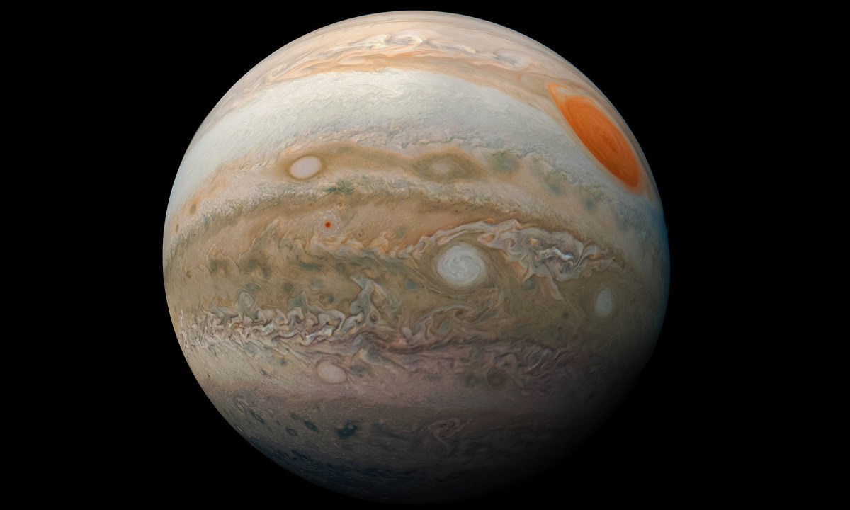An image of the planet Jupiter.