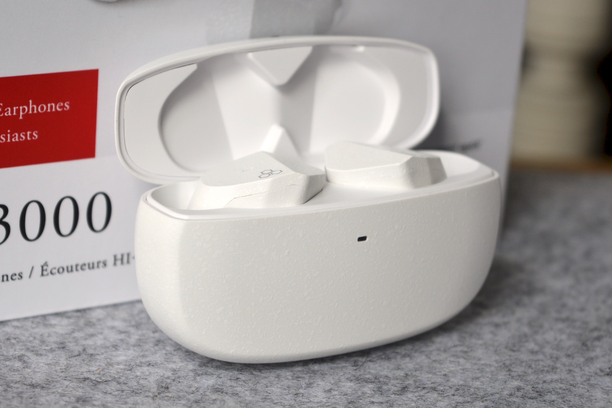 Final Audio ZE3000 wireless earbuds in their charging case.