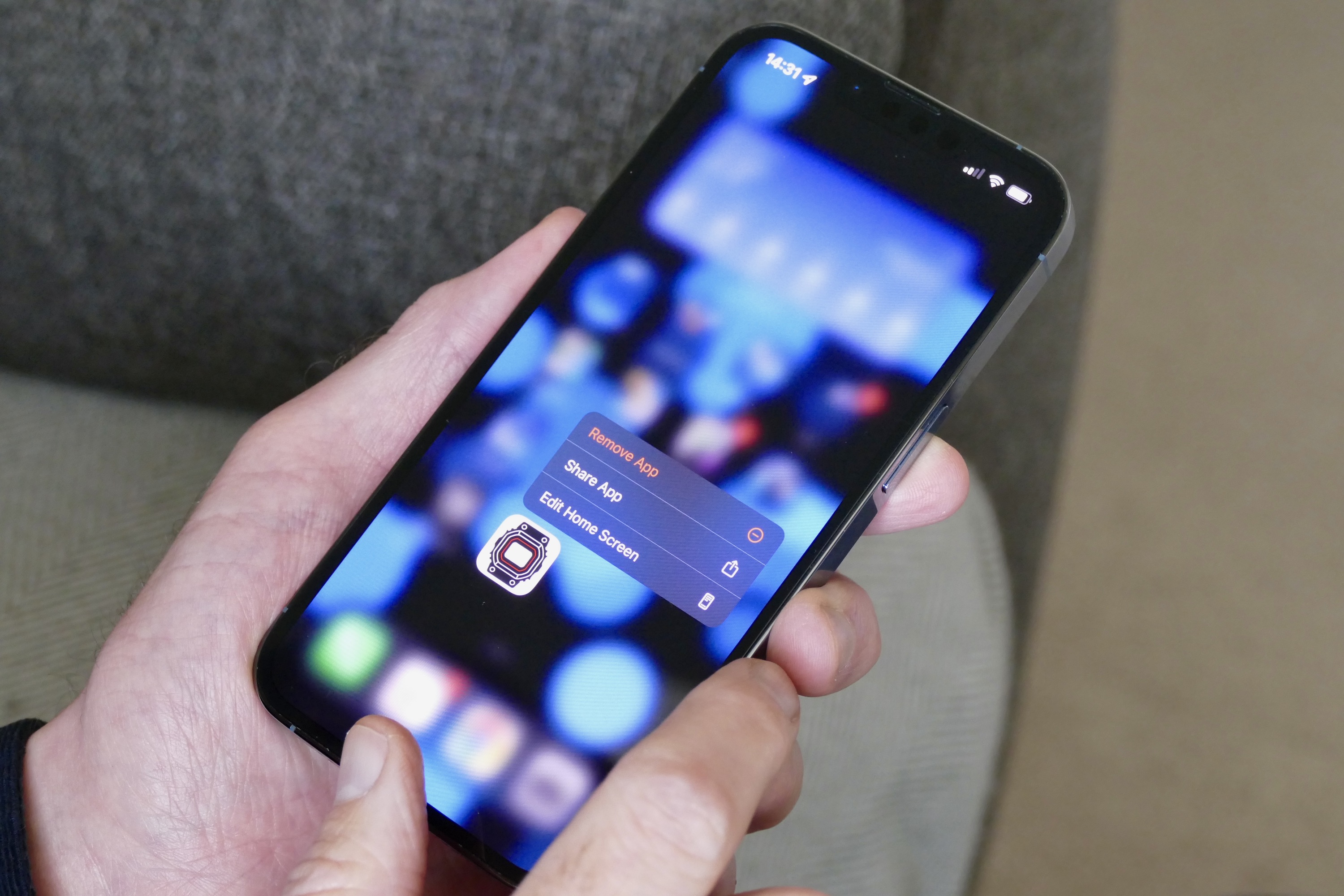 Options to remove an app in iOS on an iPhone 13 Pro.