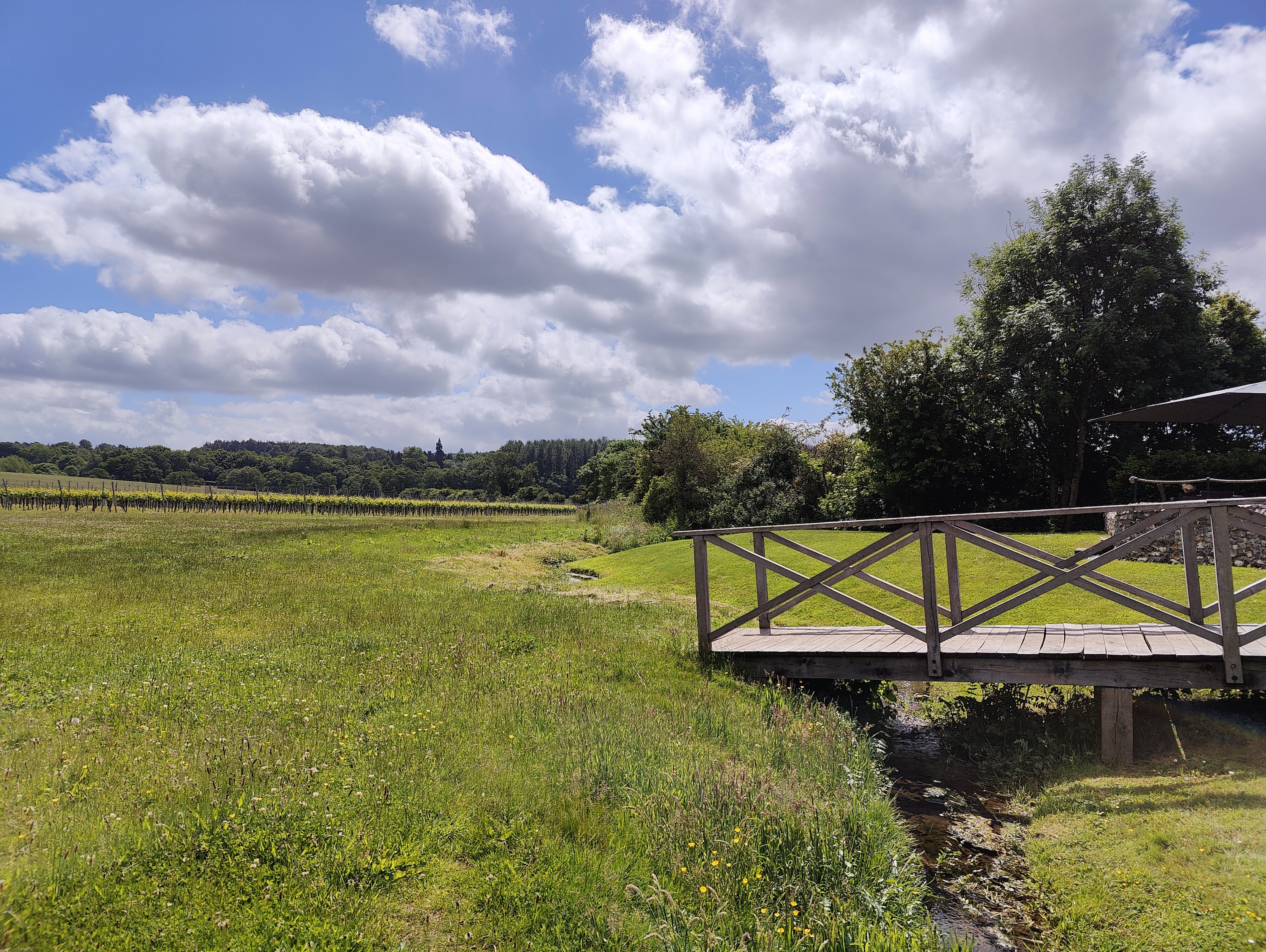 A photo of the countryside taken with the OnePlus 10 Pro.