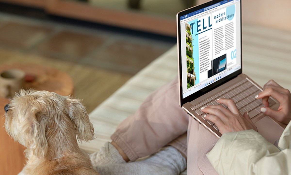 Using a Microsoft Surface Laptop 4 sitting on a couch with a dog.