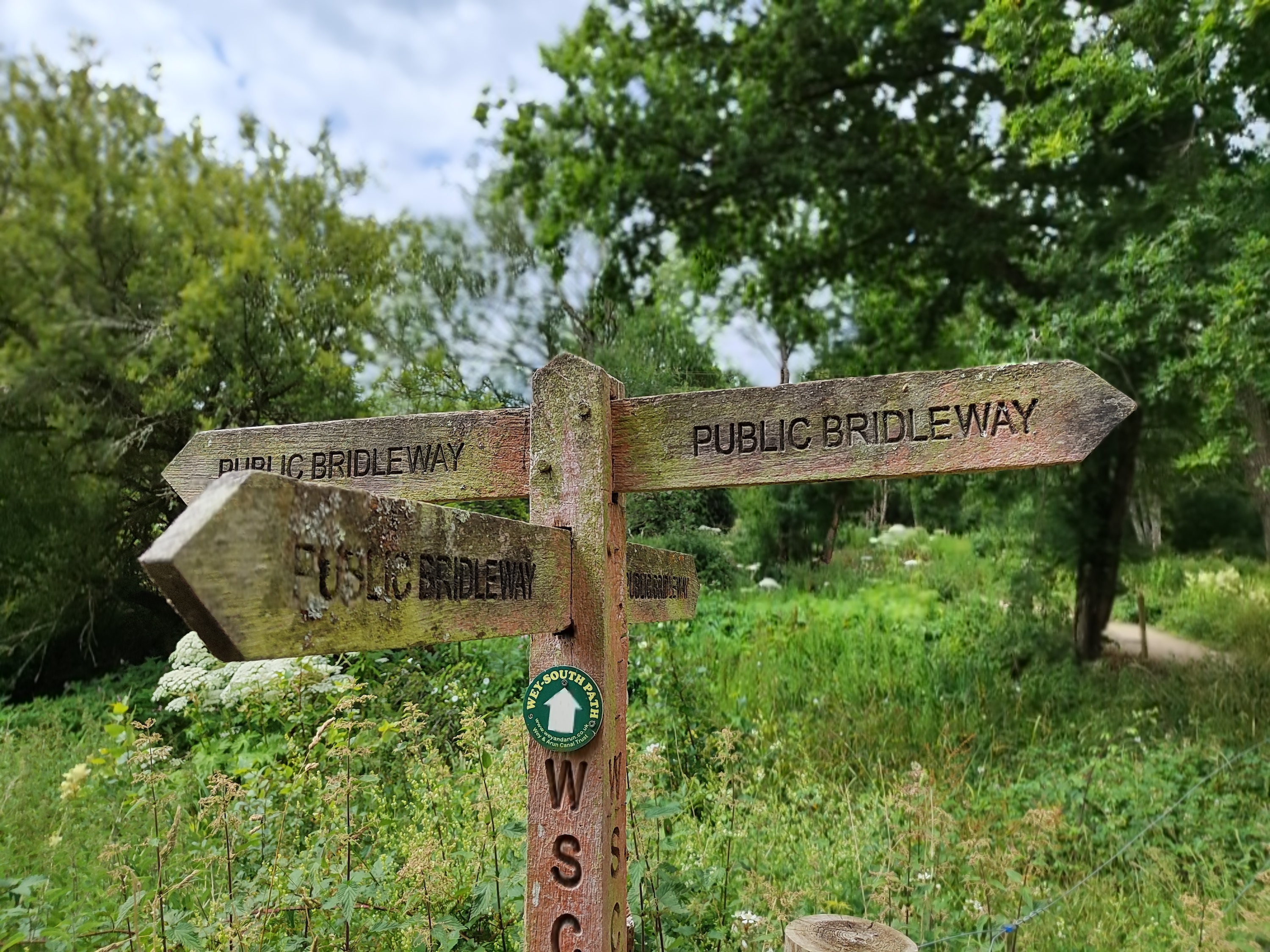 A Portrait mode shot of a sign taken with the Xiaomi 12 Lite.