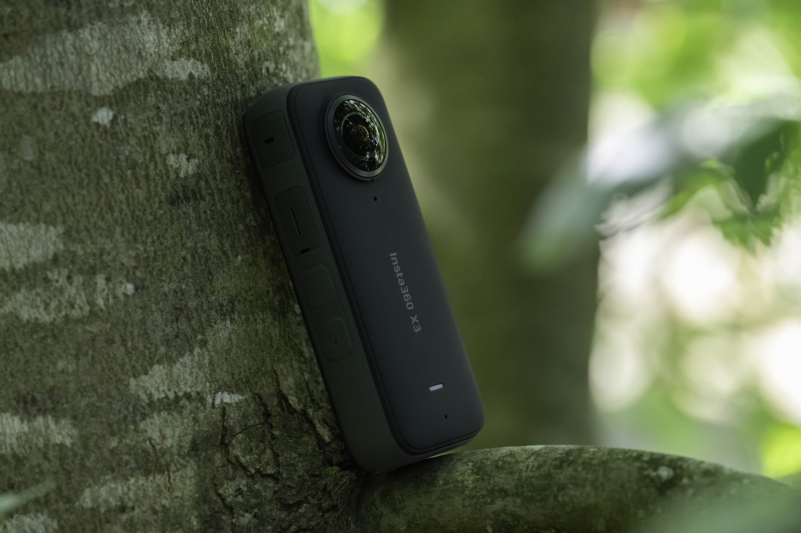 The Insta360 X3 sitting on a tree branch.