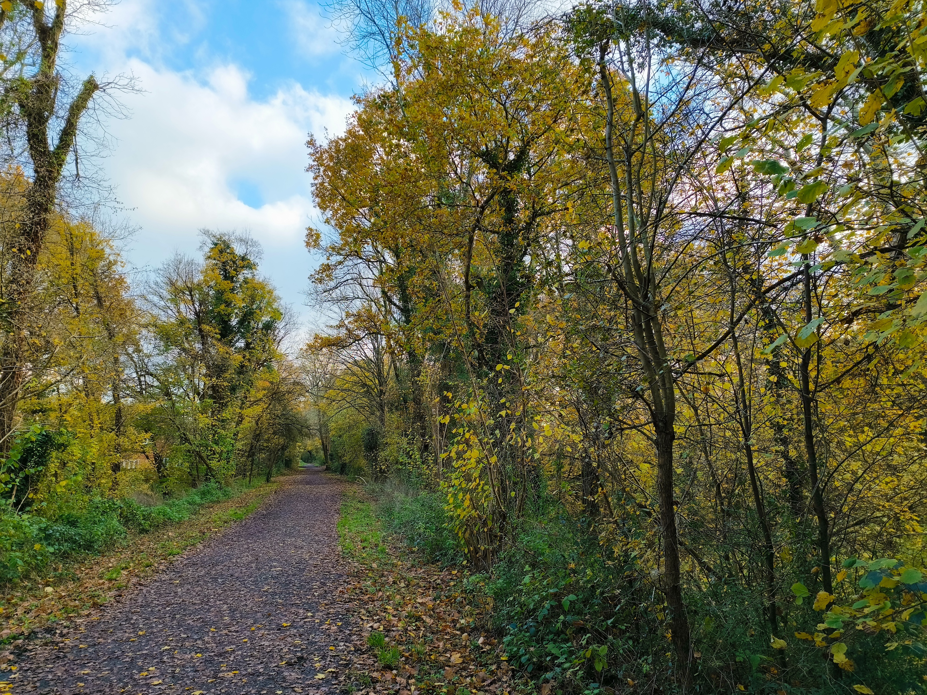 A main camera photo taken with the Tecno Phantom X2 Pro.