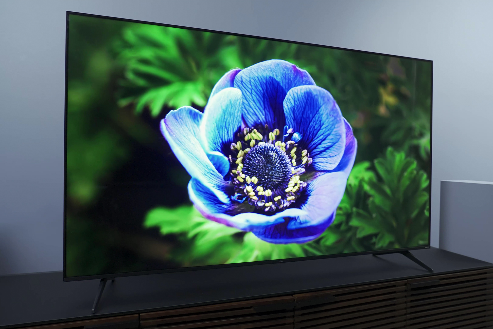 A close up on a flower on the TCL-5 Series (S555).
