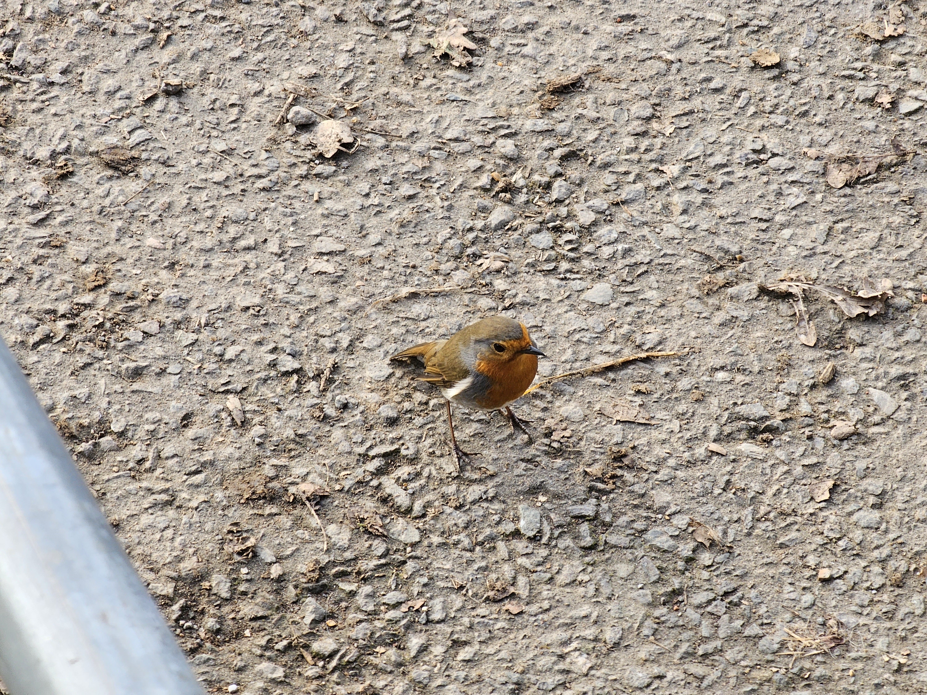Photo taken with the Galaxy S23 Ultra's 10x telephoto camera.