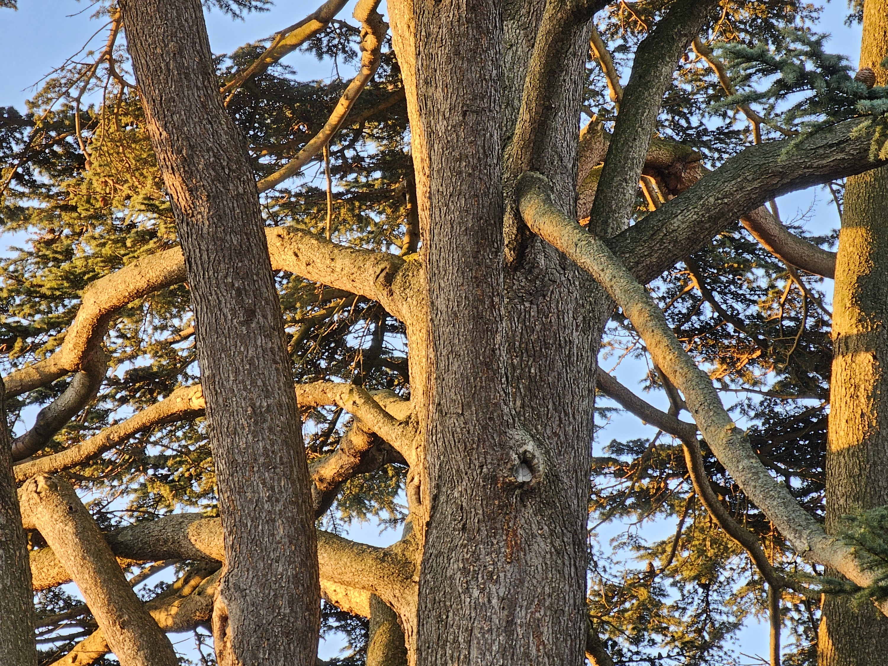 Photo taken with the Galaxy S23 Ultra's 10x telephoto camera.