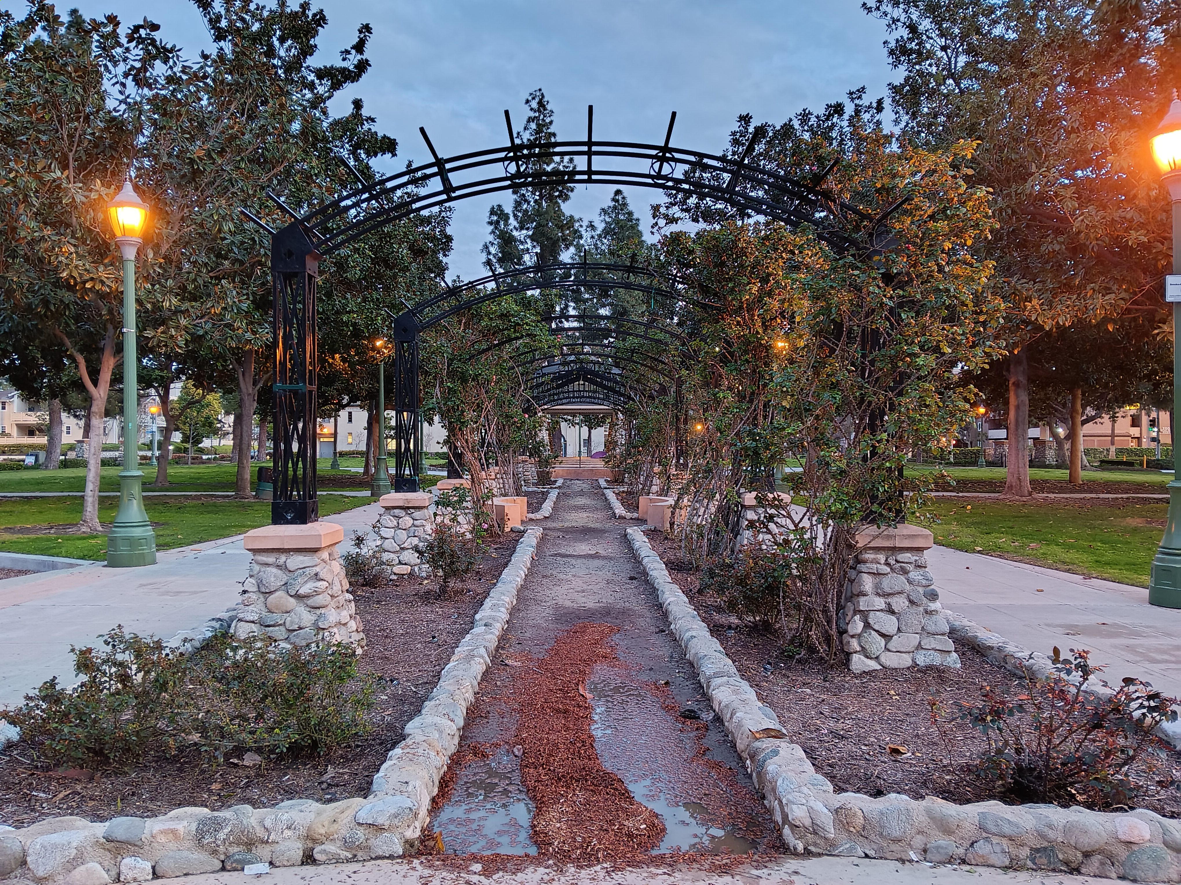 Photo of a garden archway taken with Samsung Galaxy A14 5G night mode