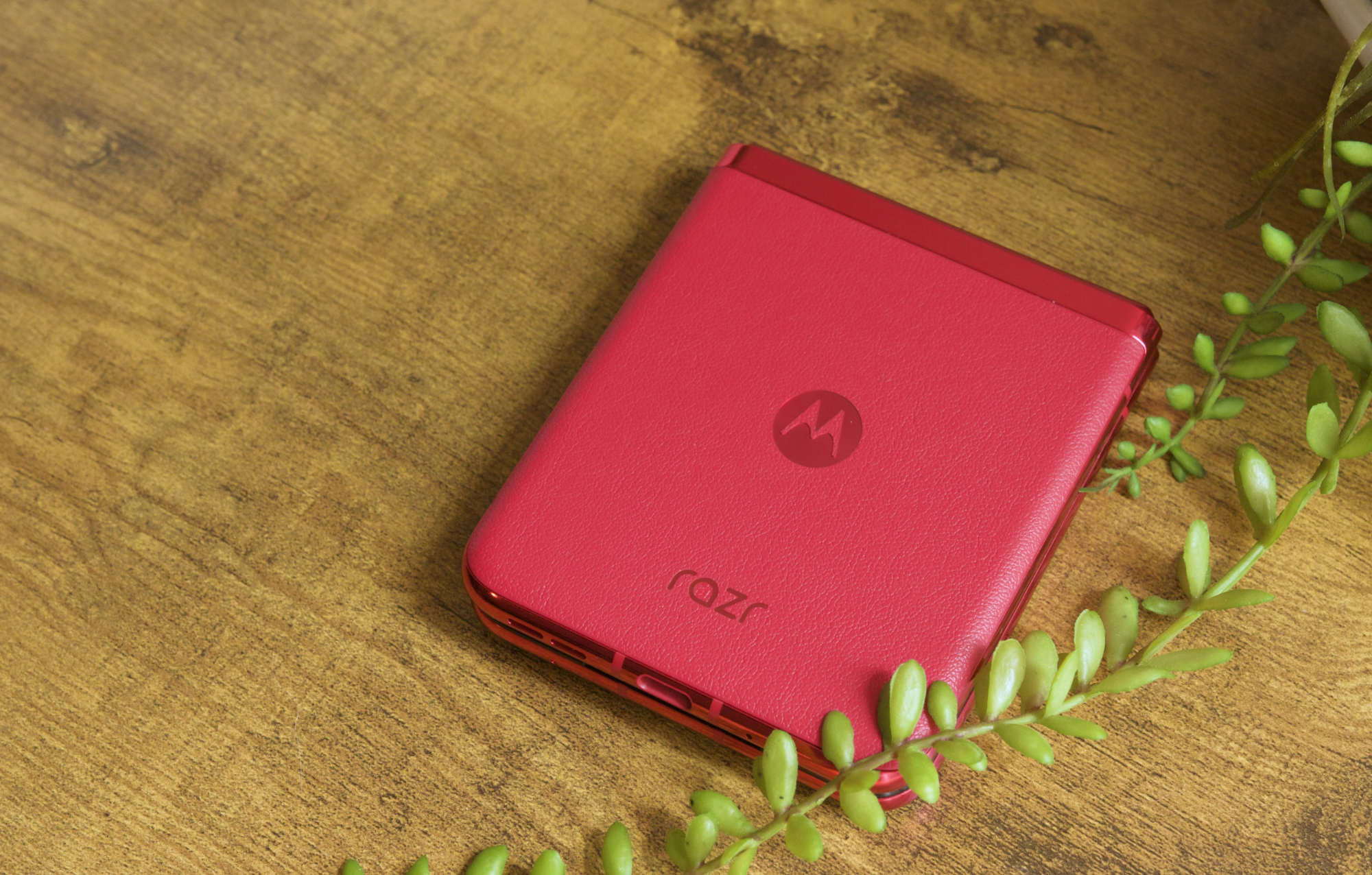 The back of the Viva Magenta Motorola Razr Plus.