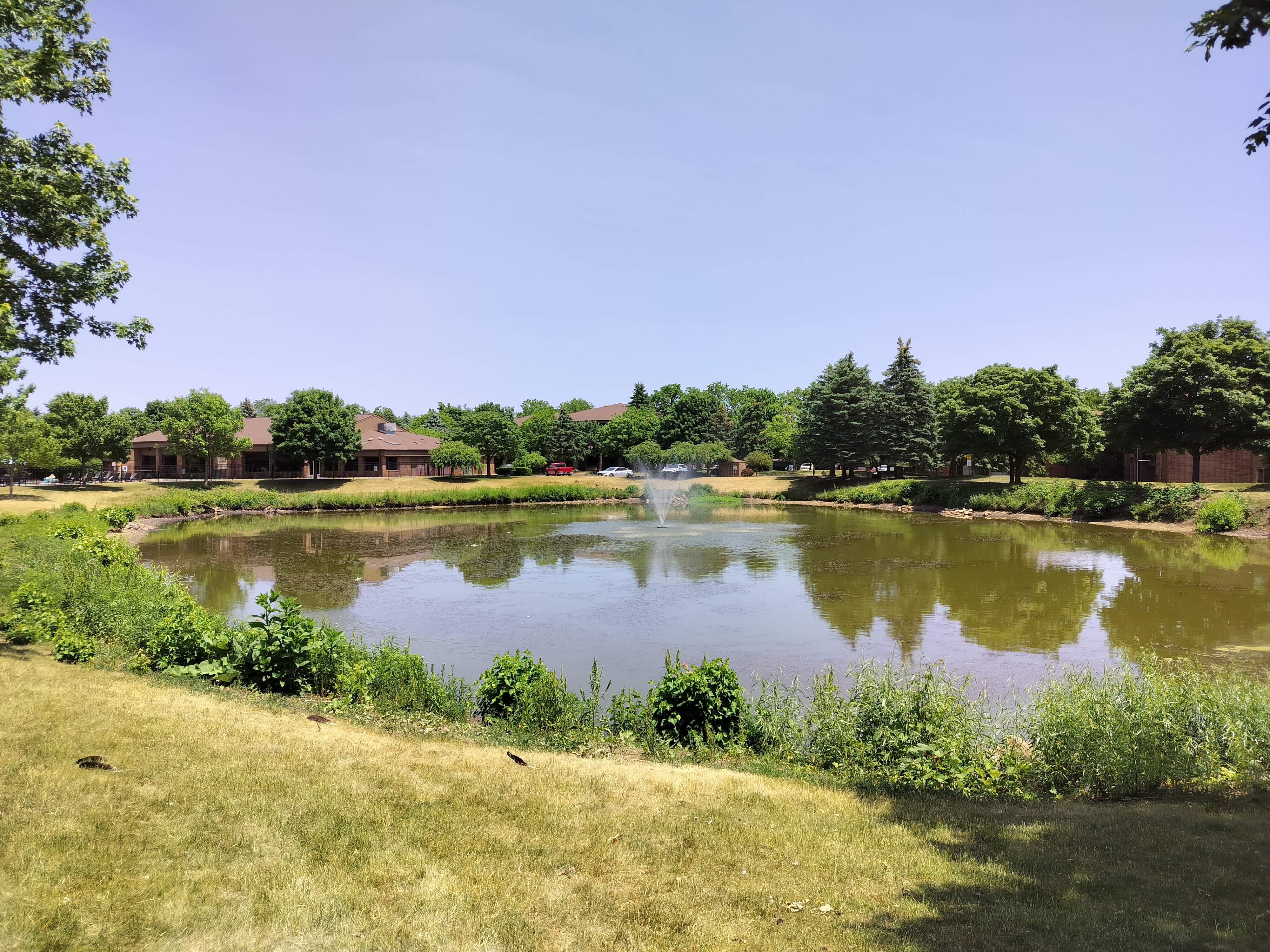 Photo of a pond taken with the OnePlus Nord N30 5G.