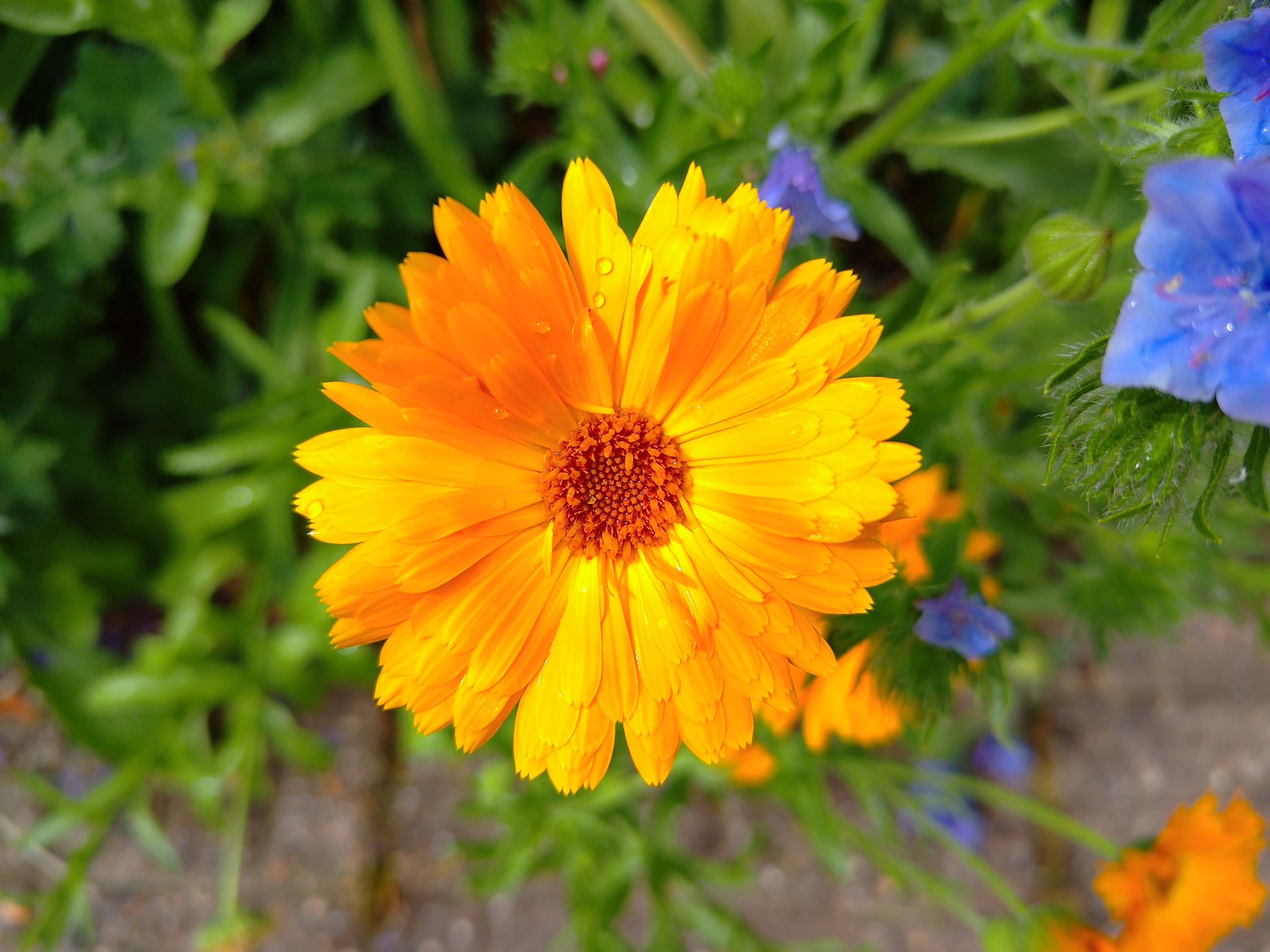 A photo taken with the Asus Zenfone 10's main camera.